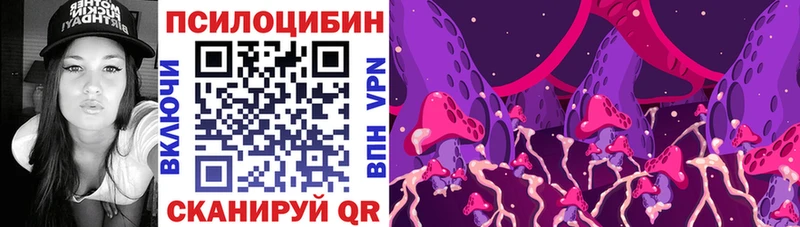 где купить   Лагань  Галлюциногенные грибы MAGIC MUSHROOMS 